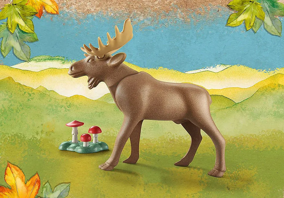 71052 Moose
