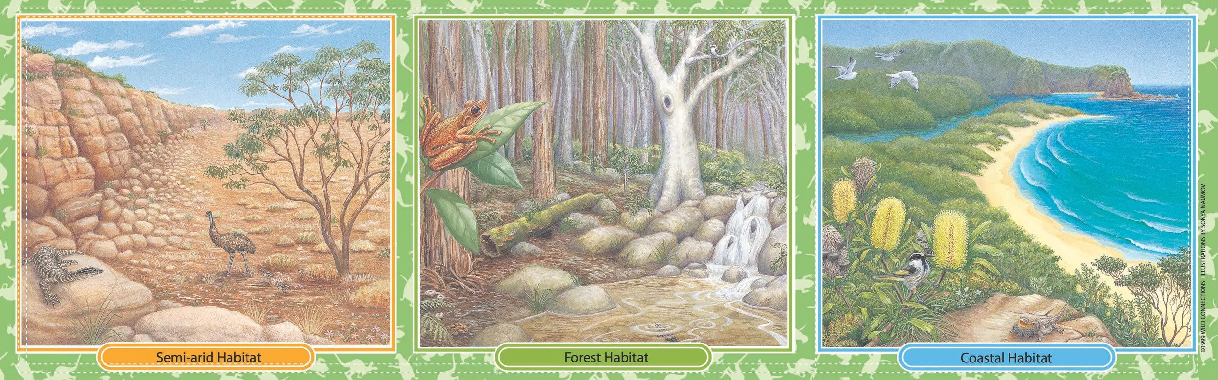 Australian Menagerie  Game