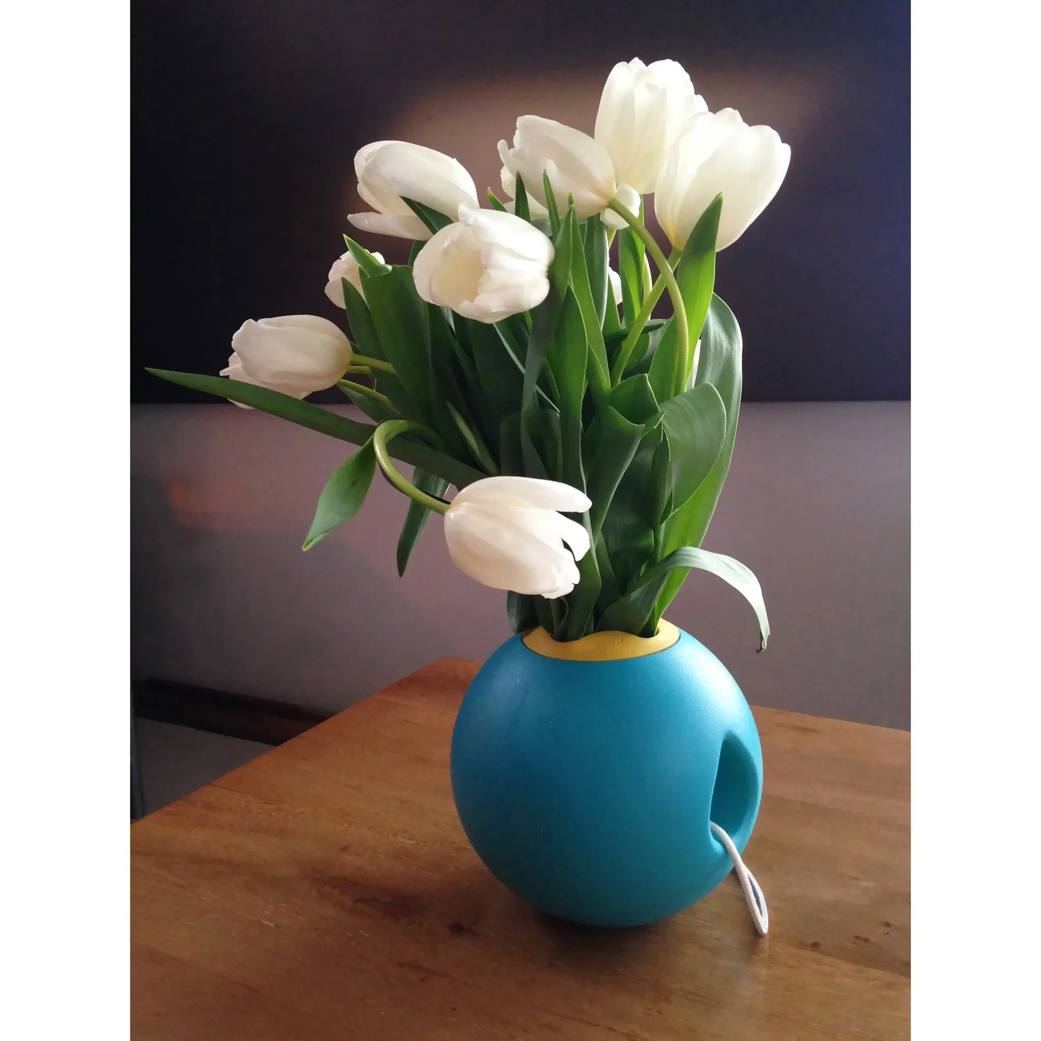 Ballo (Lagoon green   Mellow yellow)