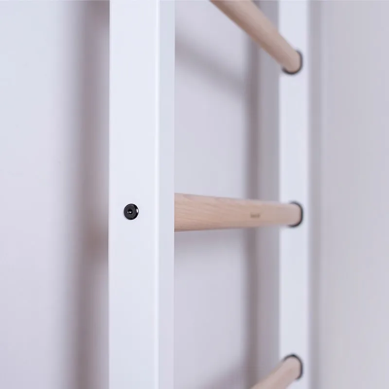 BenchK 521 Wall Bars with Gymnastic Accessories