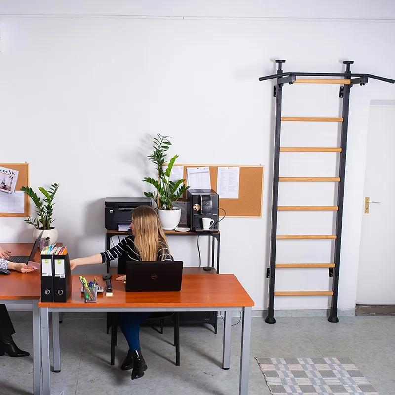BenchK 521 Wall Bars with Gymnastic Accessories