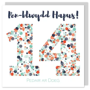 Birthday card 'Pen-blwydd hapus 14' blue
