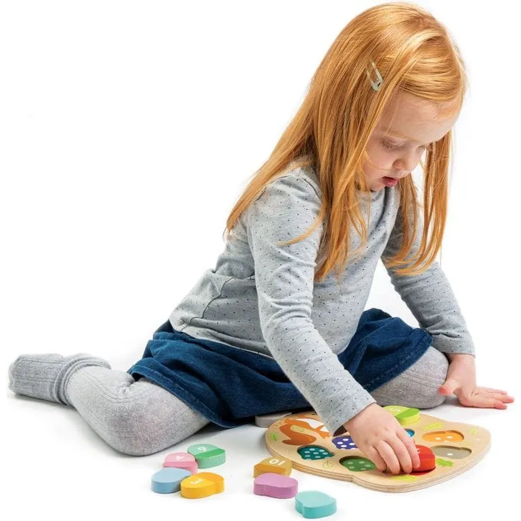 Bright Minds Math Collection of Wood Toys