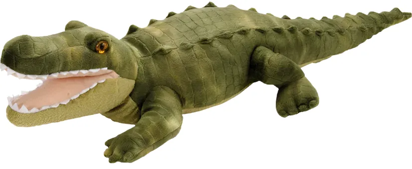 CK Alligator