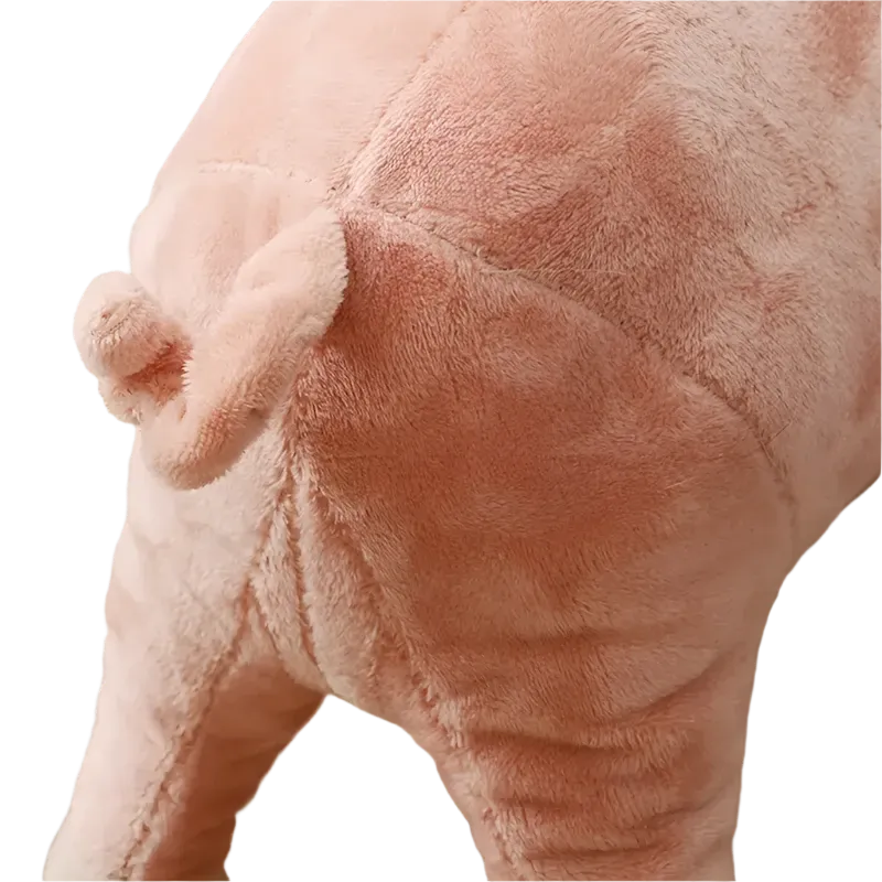 Cuddle Buddy Plush Pig Dog Toy