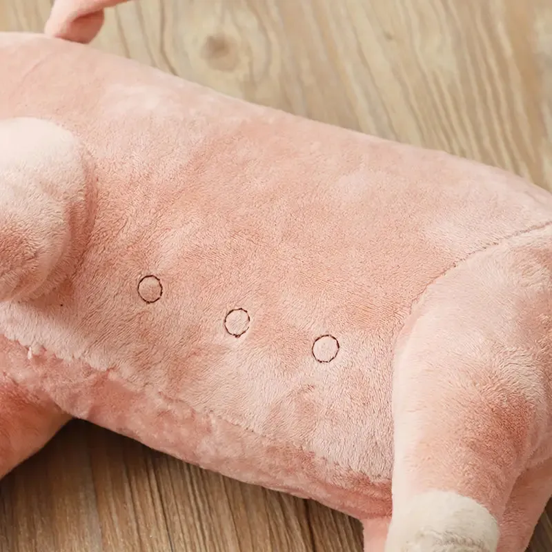 Cuddle Buddy Plush Pig Dog Toy