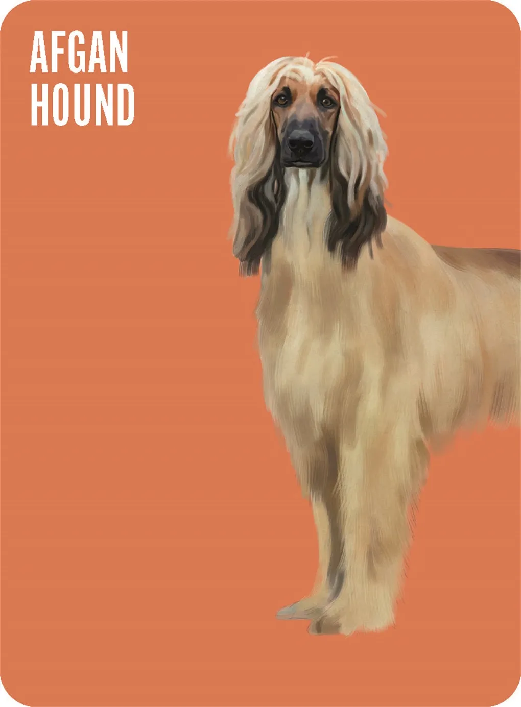 Heads & Tails: Dog Memory Cards