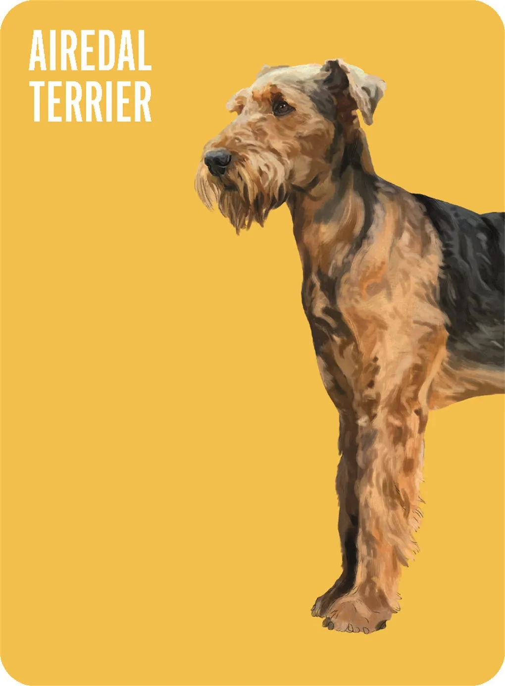 Heads & Tails: Dog Memory Cards