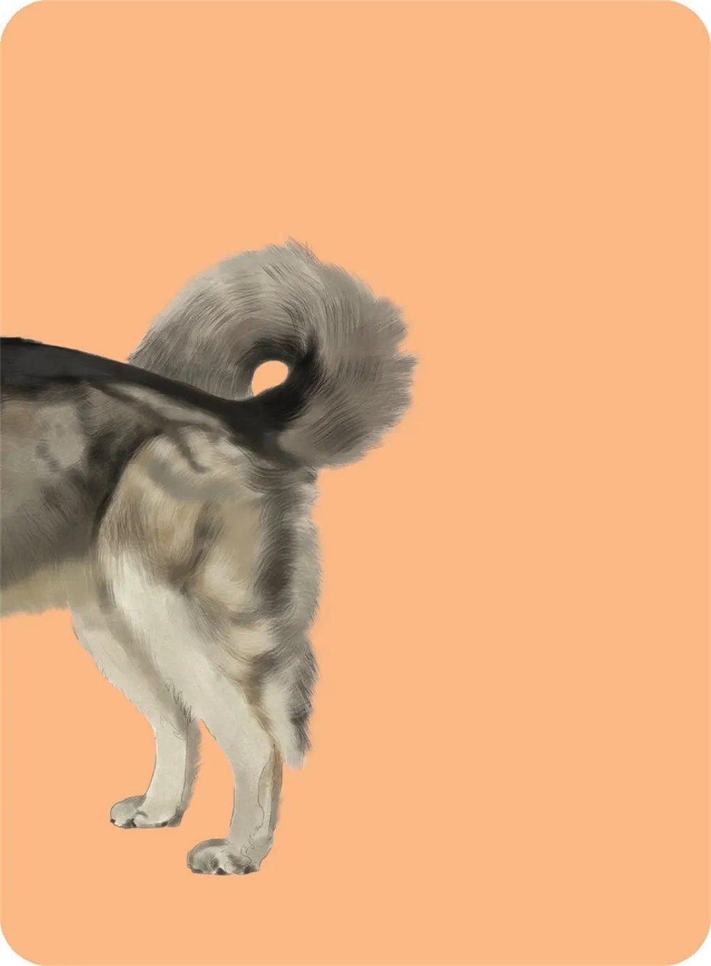 Heads & Tails: Dog Memory Cards
