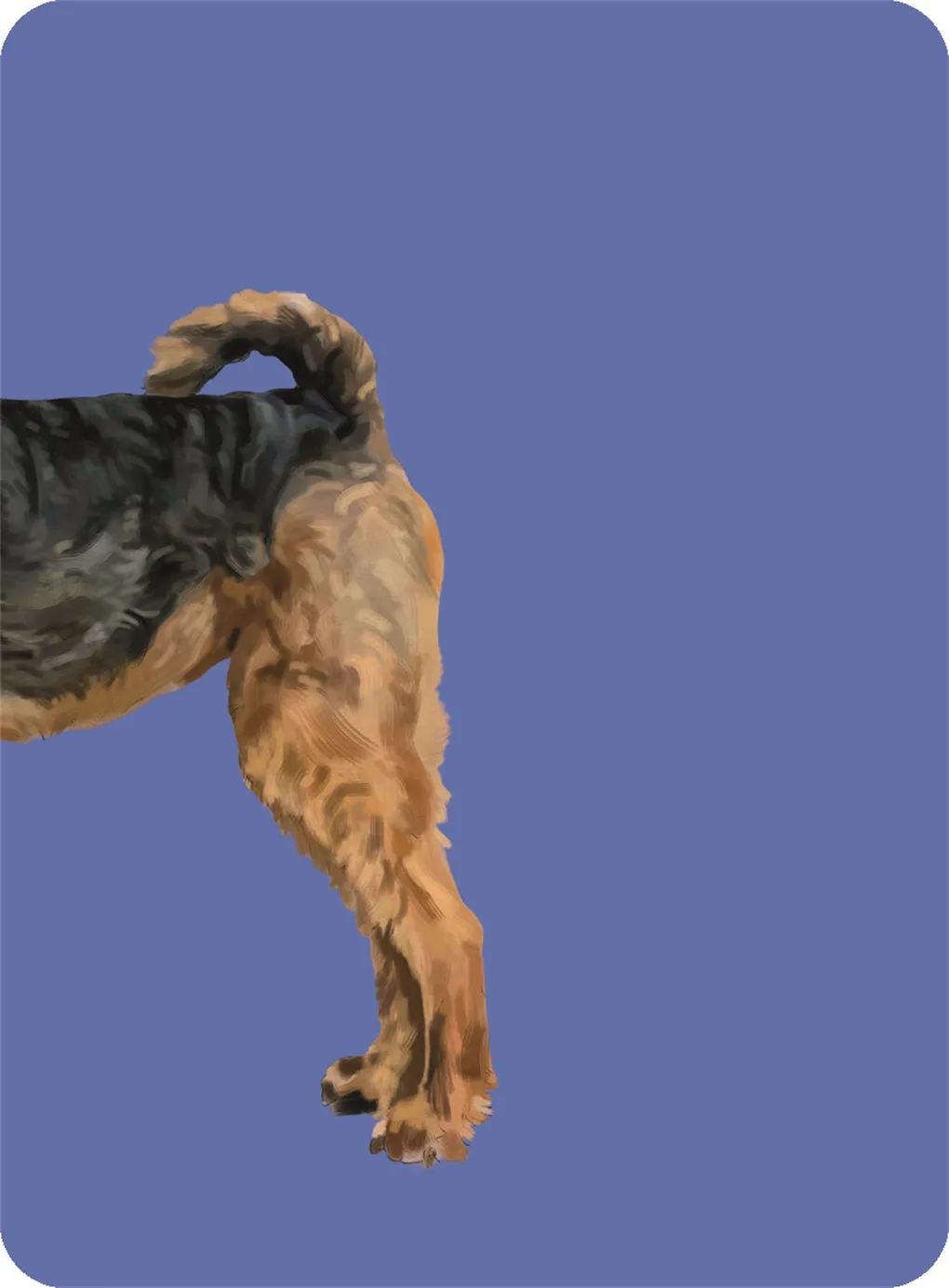 Heads & Tails: Dog Memory Cards