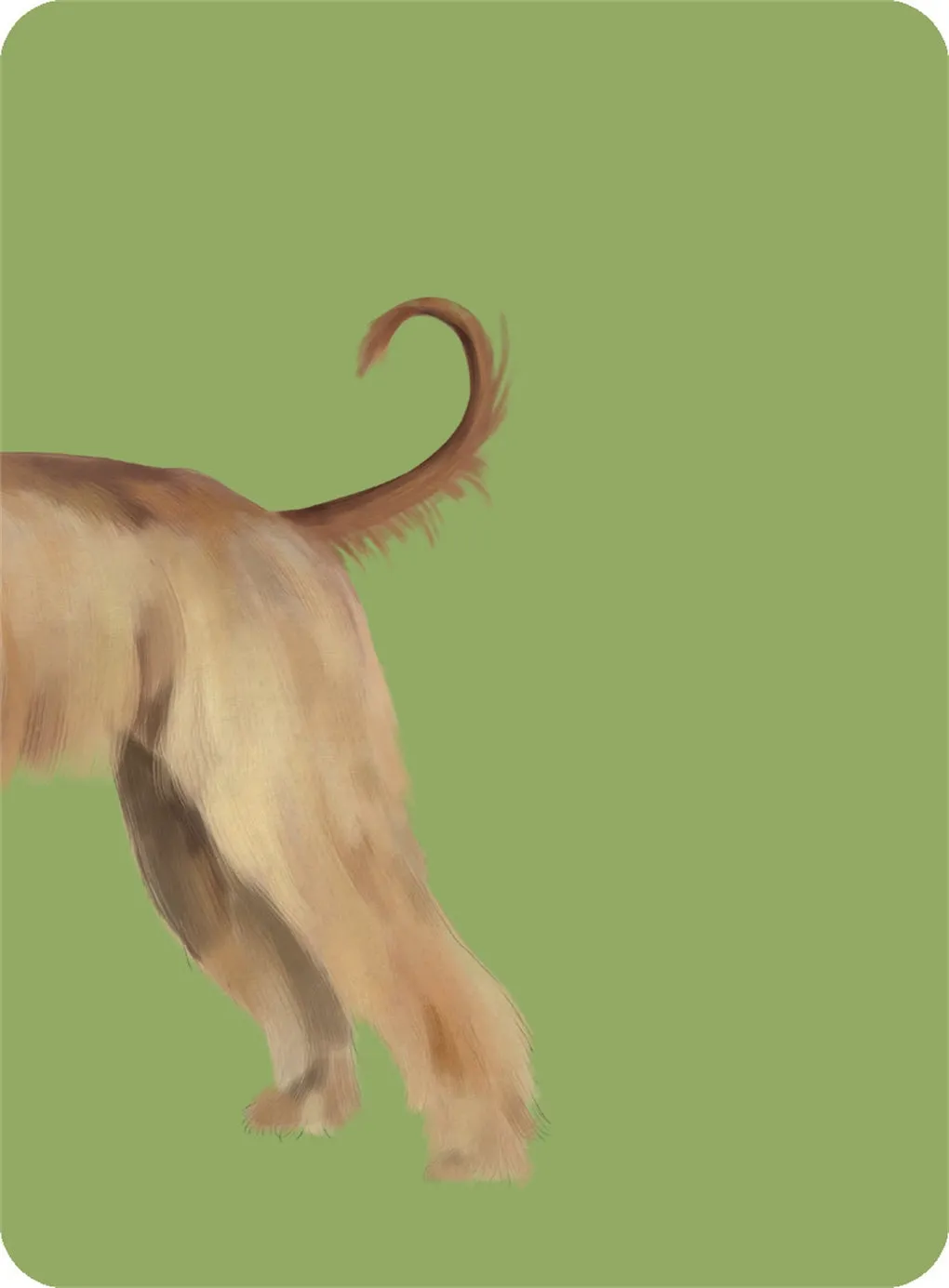 Heads & Tails: Dog Memory Cards