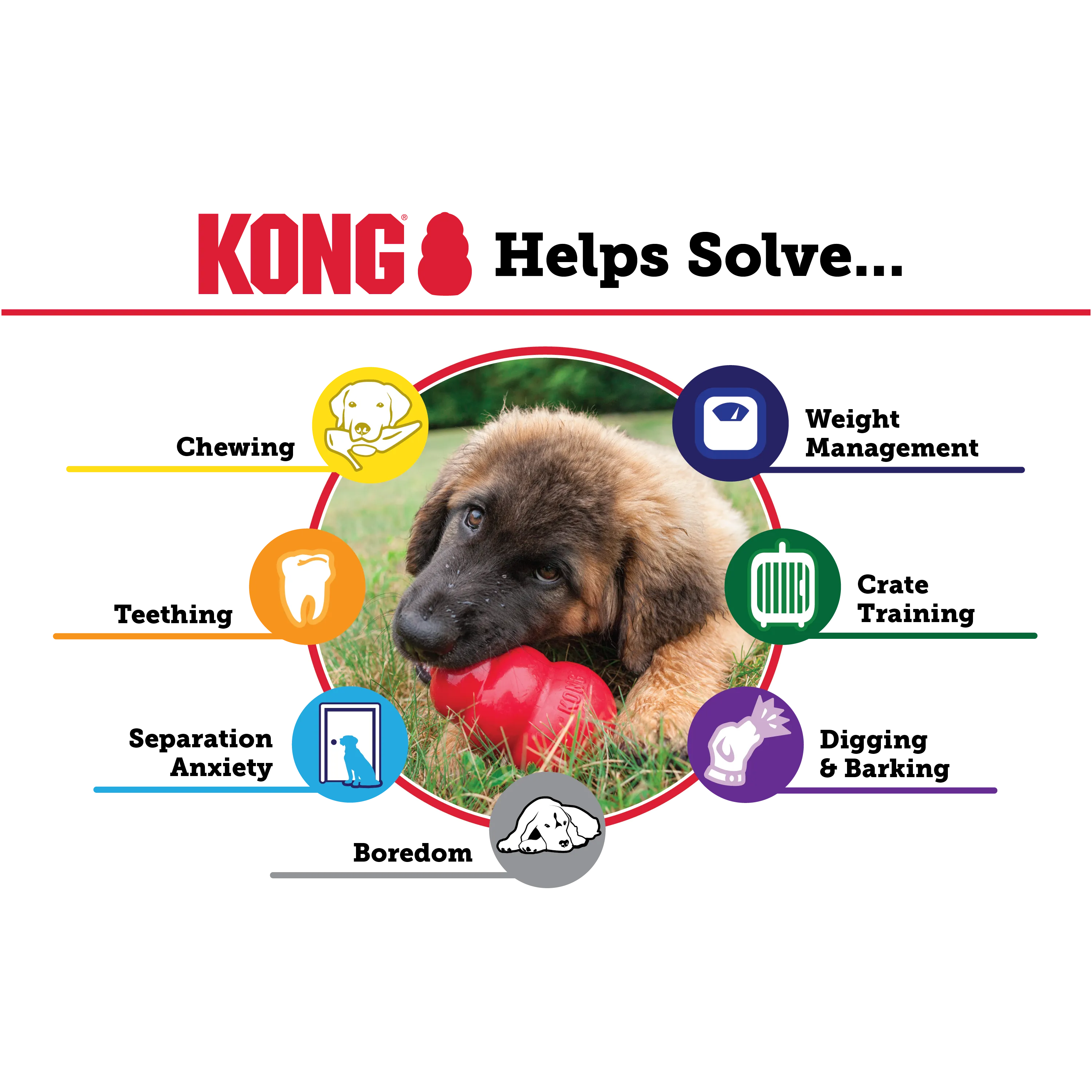 Kong - Classic Kong Dog Toy