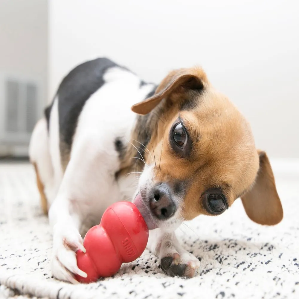 Kong - Classic Kong Dog Toy