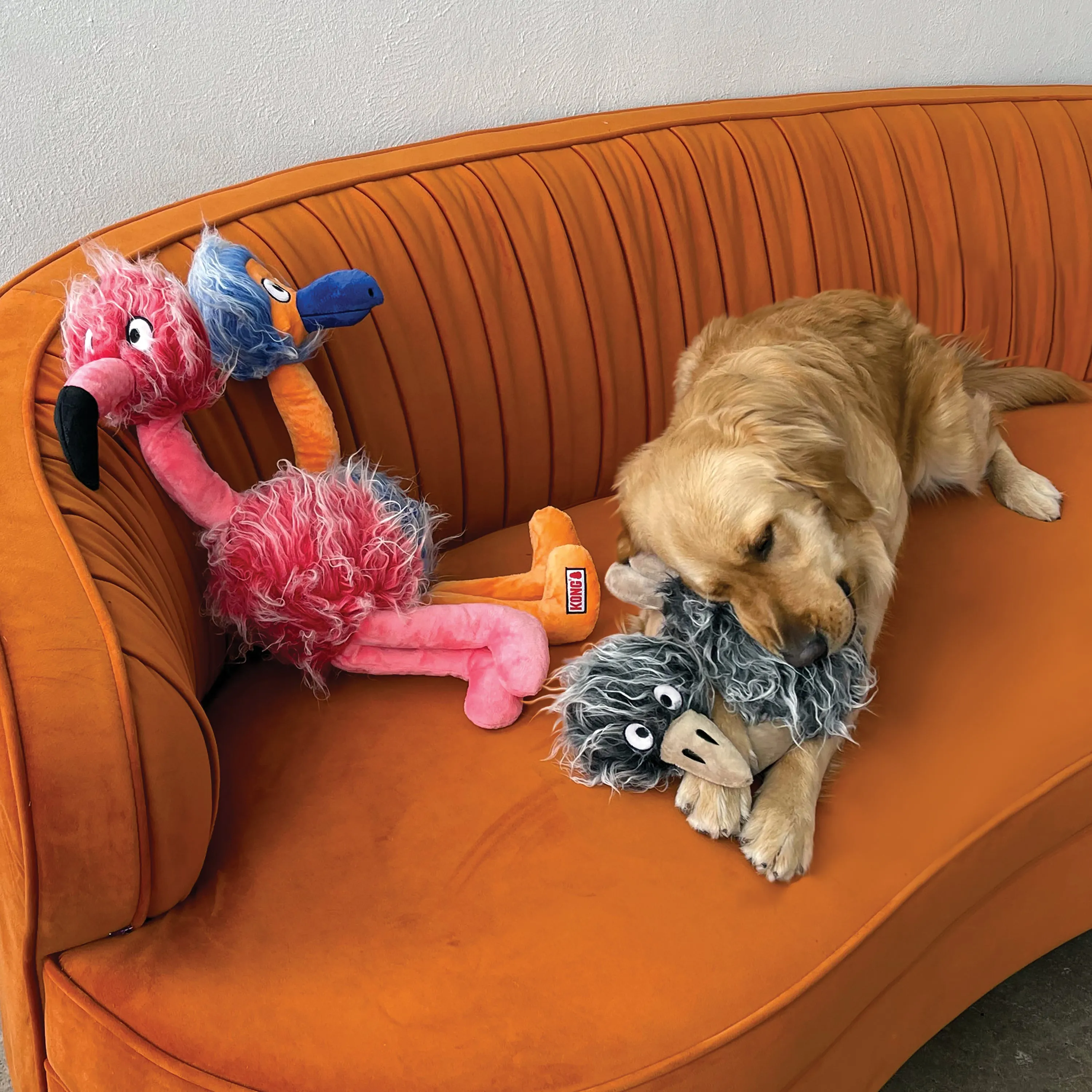 KONG - Comfort Jumbo Birds Dog Toys