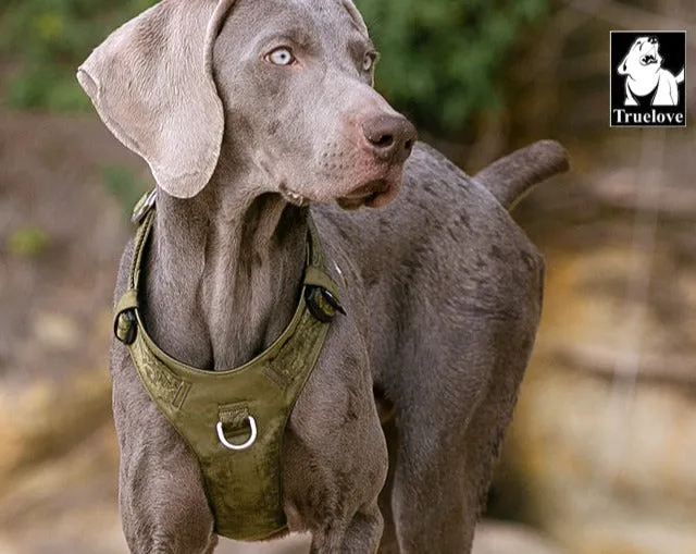 Lightweight Harness Army Green L For Dogs