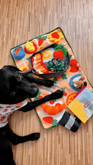 Mewoo - Sniff and Whiff Snuffle Mat
