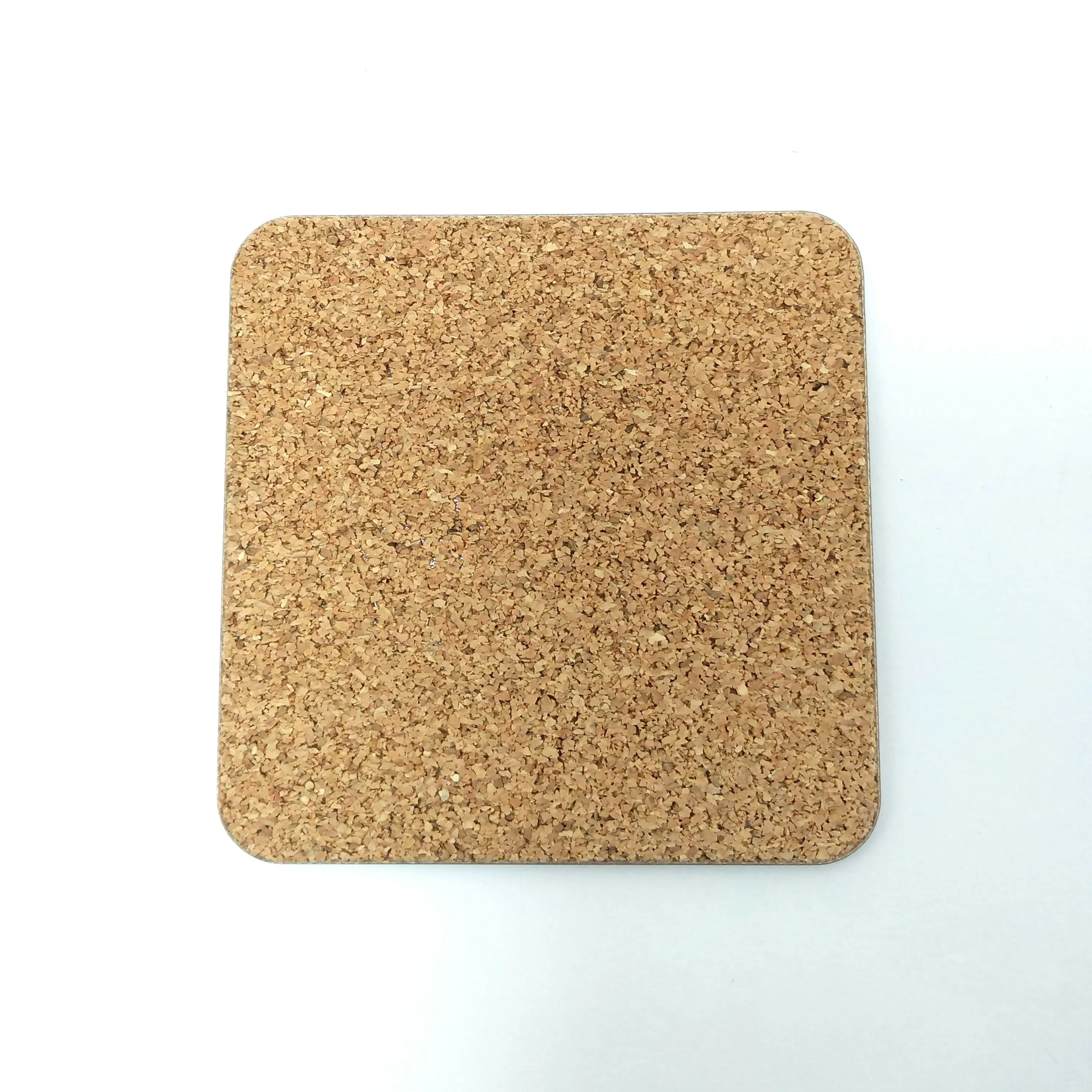 Oystercatcher Coaster