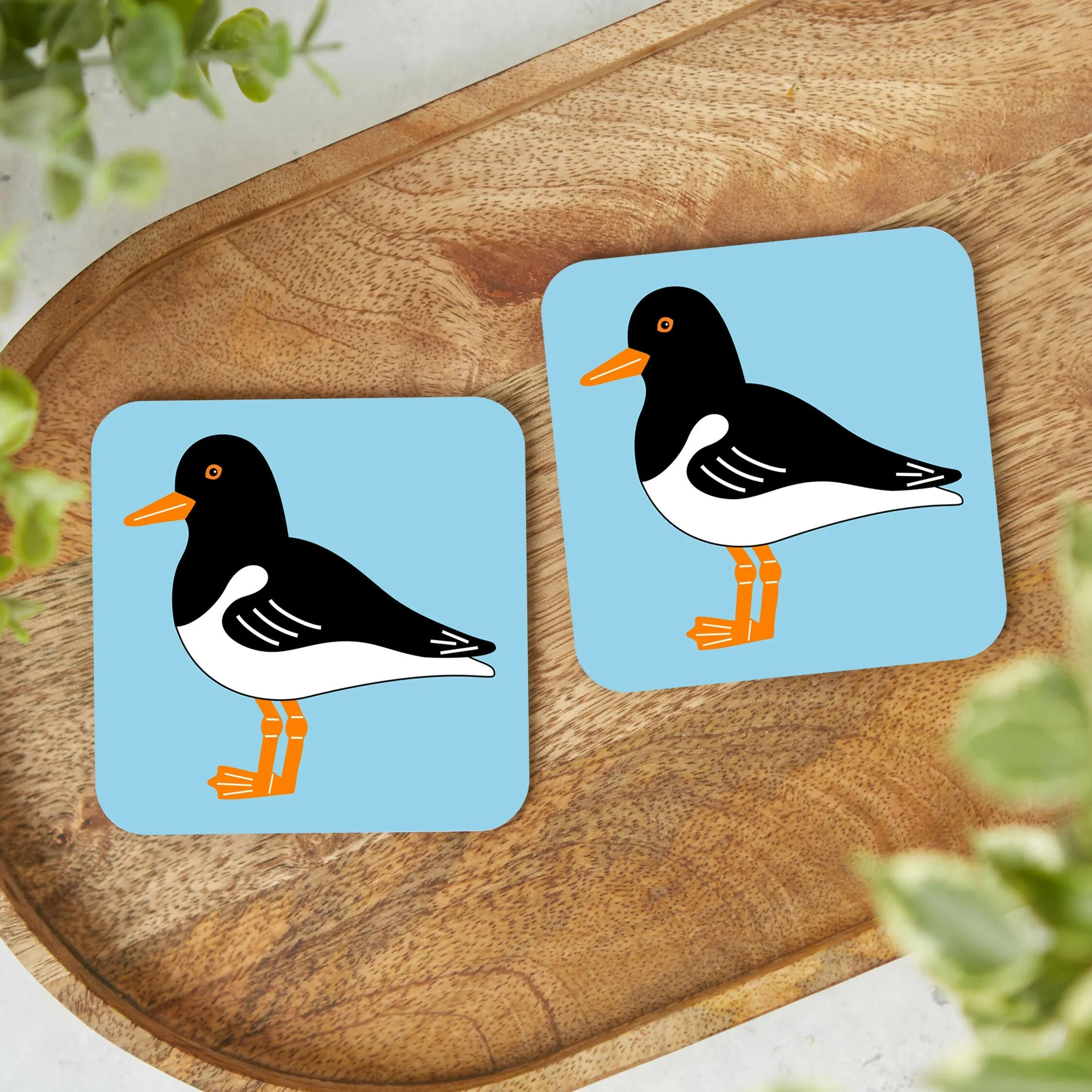 Oystercatcher Coaster