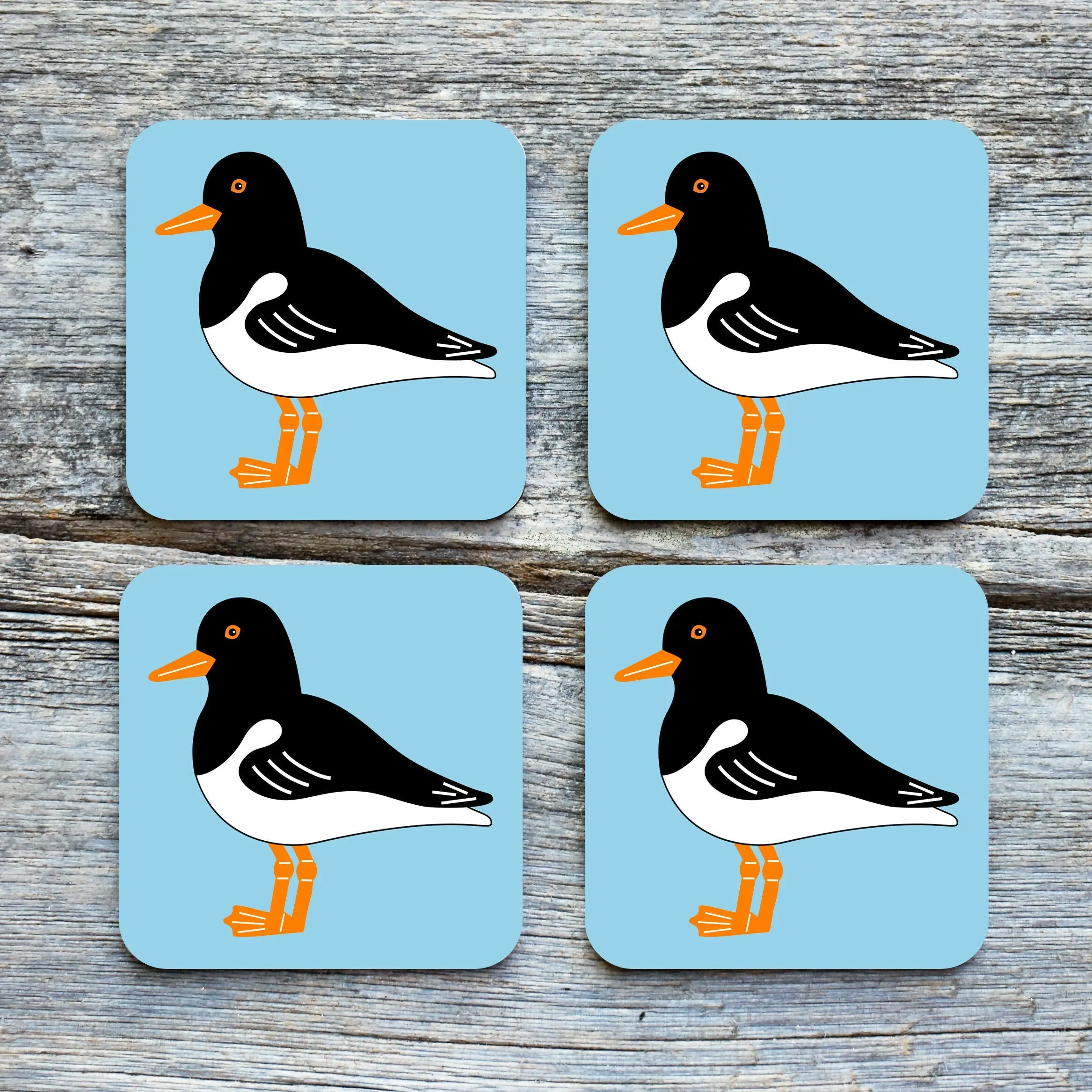 Oystercatcher Coaster