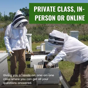 Private Class, In-Person or Online