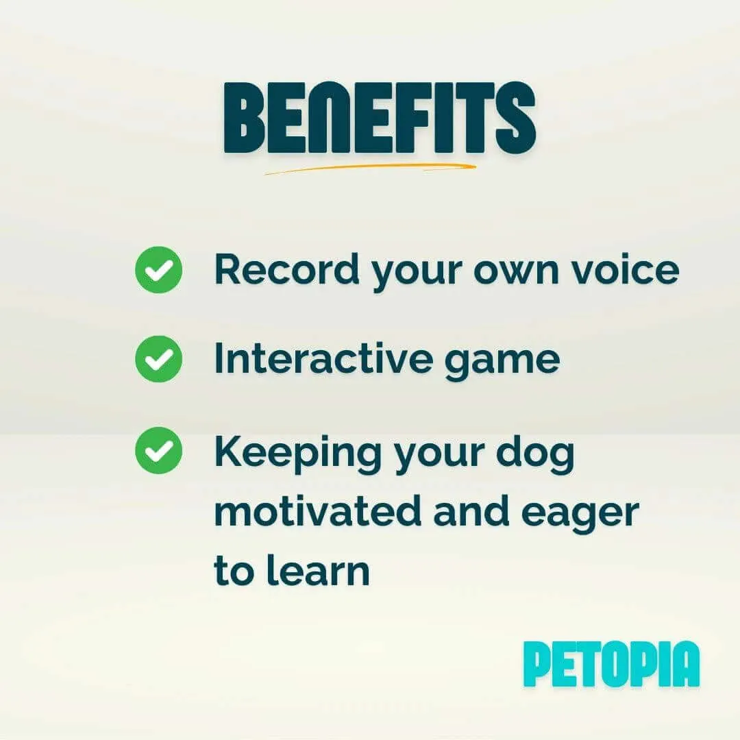 Recordable Talking Training Buzzer for dogs