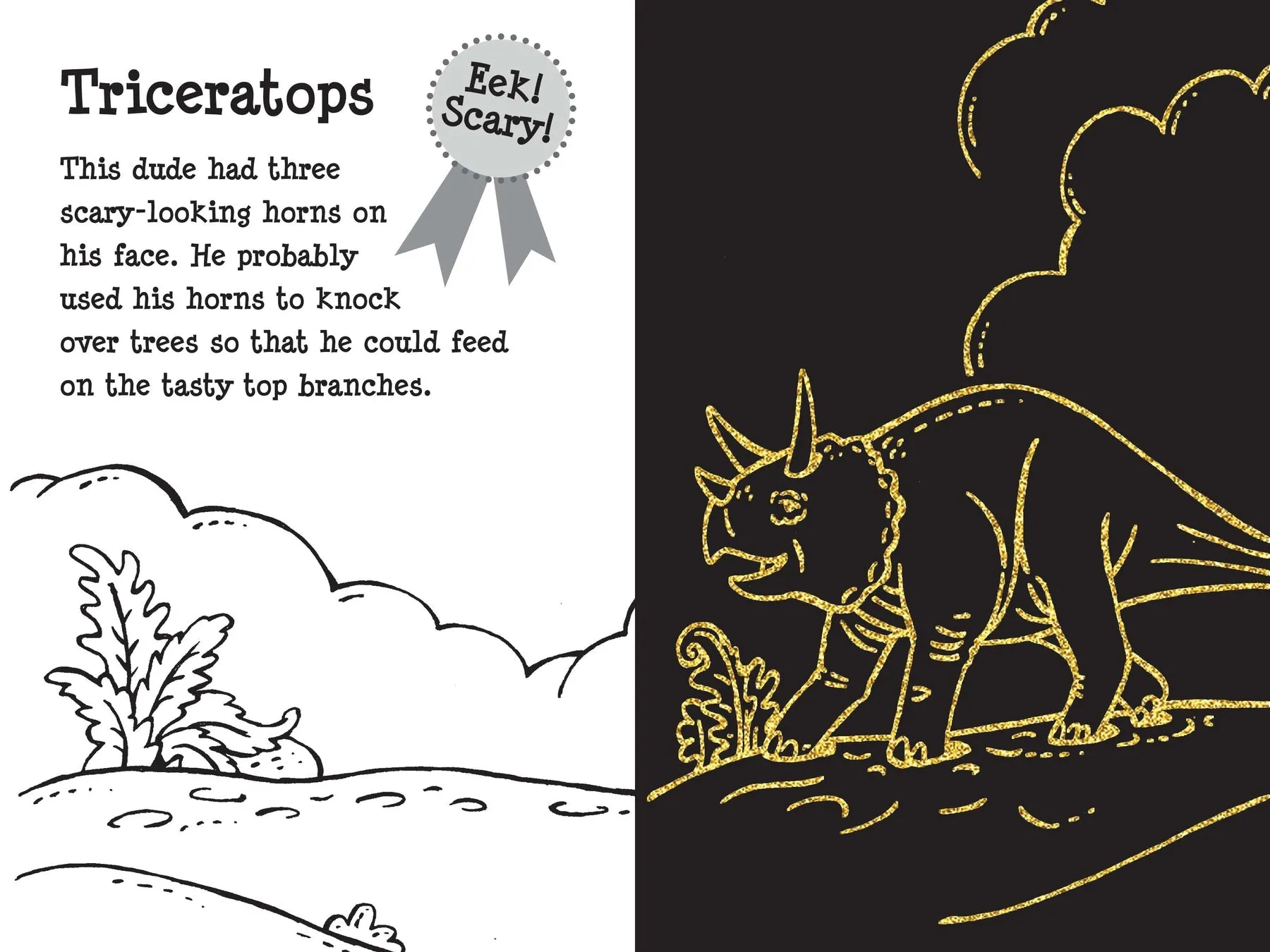Scratch and Sketch Activity Books